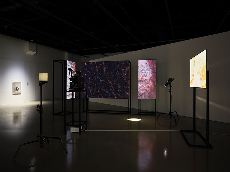 〈600분〉, 2025, 16mm 필름 프로젝션, LED      패널, OLED TV 디스플레이, 가변크기, 600분.